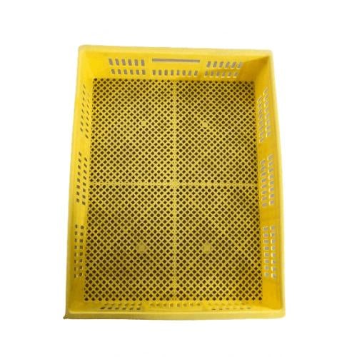 حضانة فقاسة اصفر