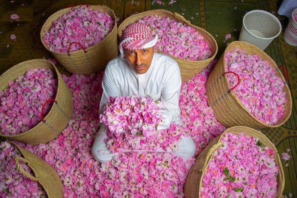 أجمل الأماكن السياحية في الطايف