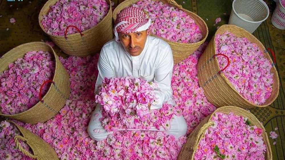 السياحة في الطائف 2025: أفضل الأماكن السياحية في الطائف مع خريطة الطائف السياحية التفاعلية