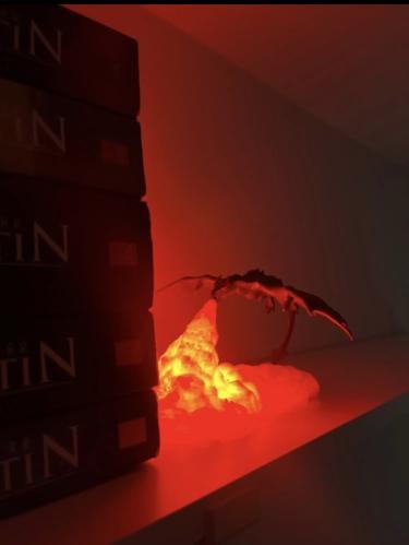 Fire dragon
