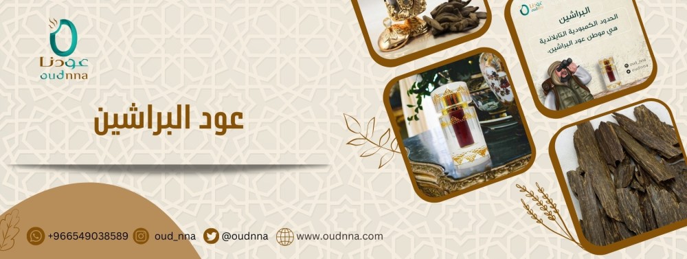 عود البراشين