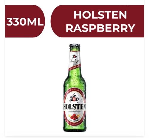 هولستن توت - 24X330ML