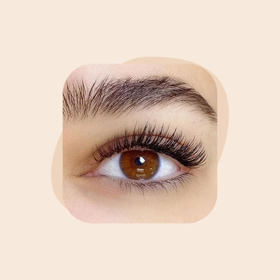 الرموش