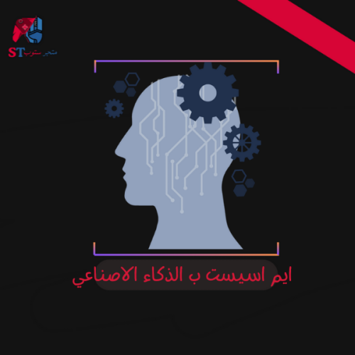 ايم اسيست ب الذكاء الصناعي AIM AI ( شهر )