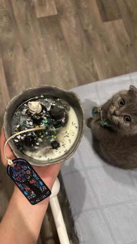 Dream Cats Candle