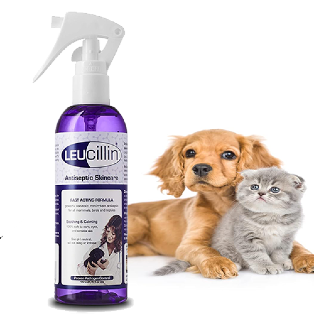 ‎بخاخ الفطريات ليوسيلين Leucillin Spray 250 ml