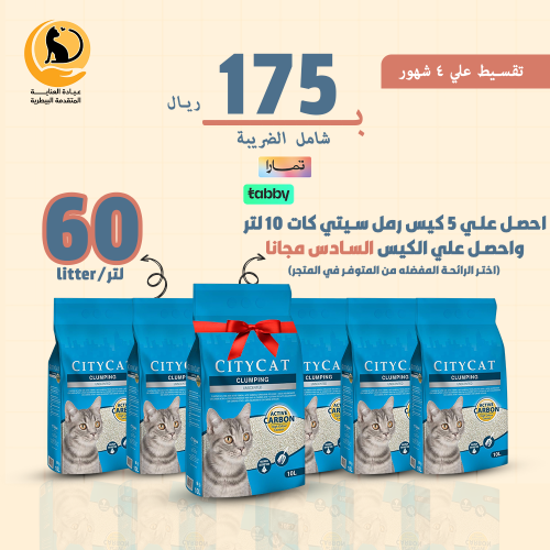 بكج رمل سيتي كات 60 لتر