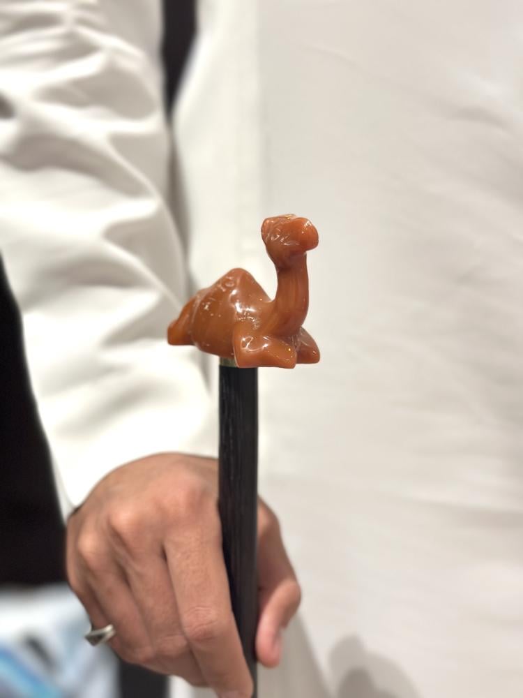 أفضل عصا للمشي