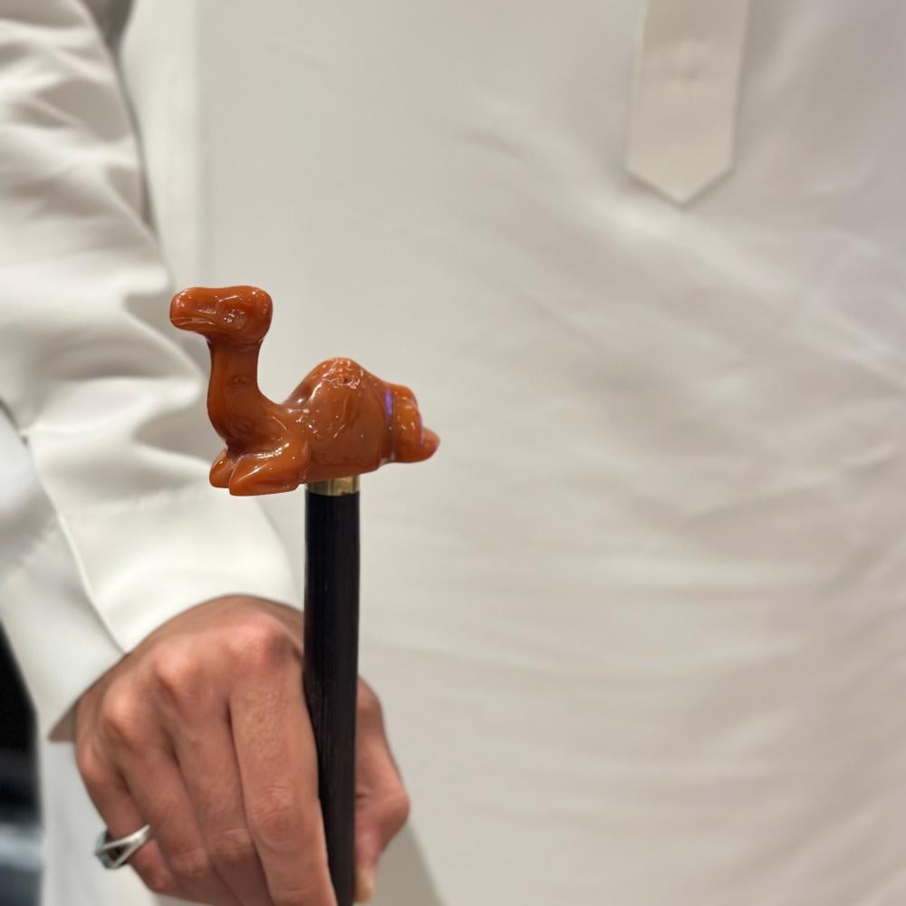 أفضل عصا للمشي