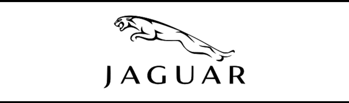 جاكوار