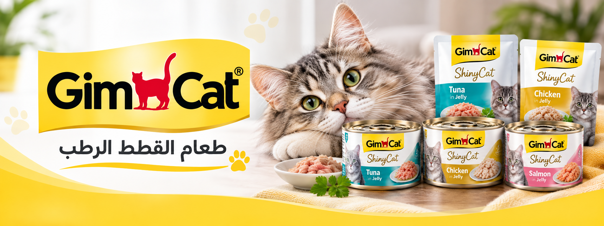 GimCat