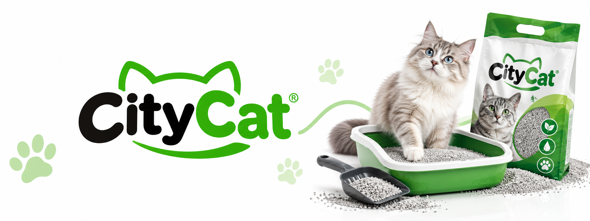 CityCat