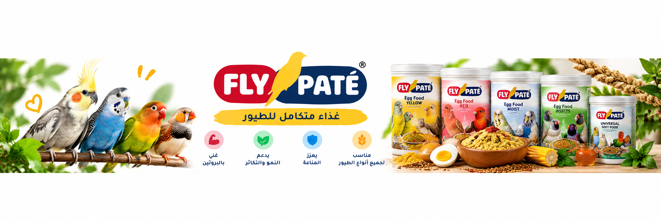 FLY PATÉ