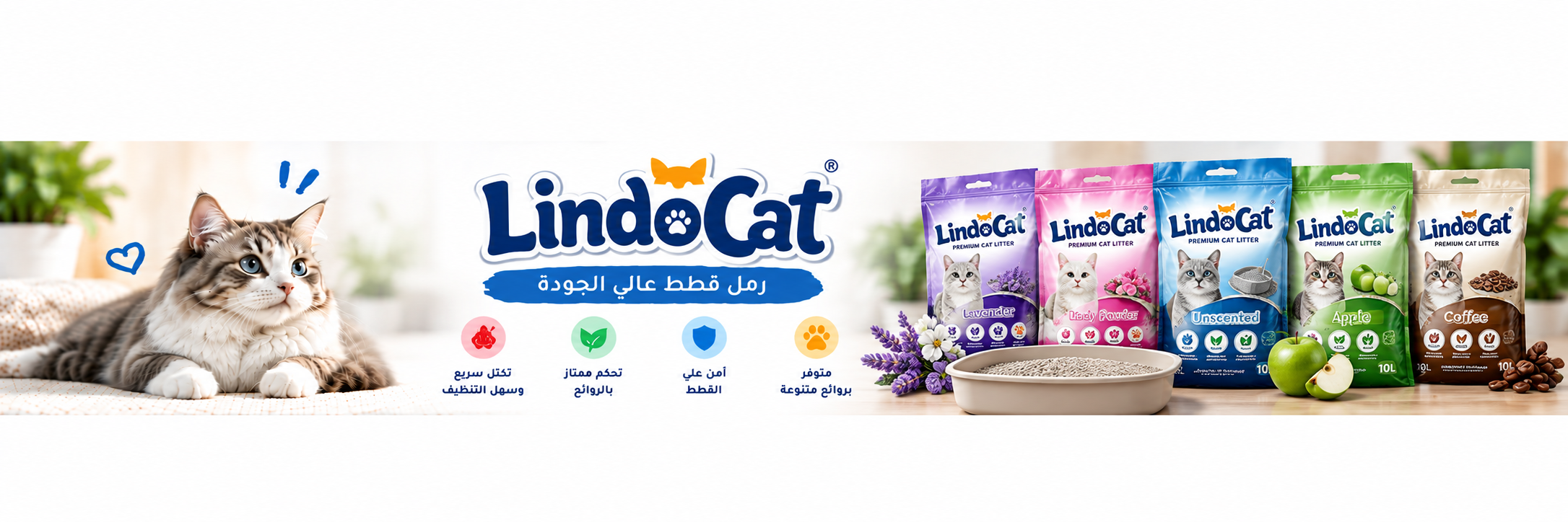 LindoCat