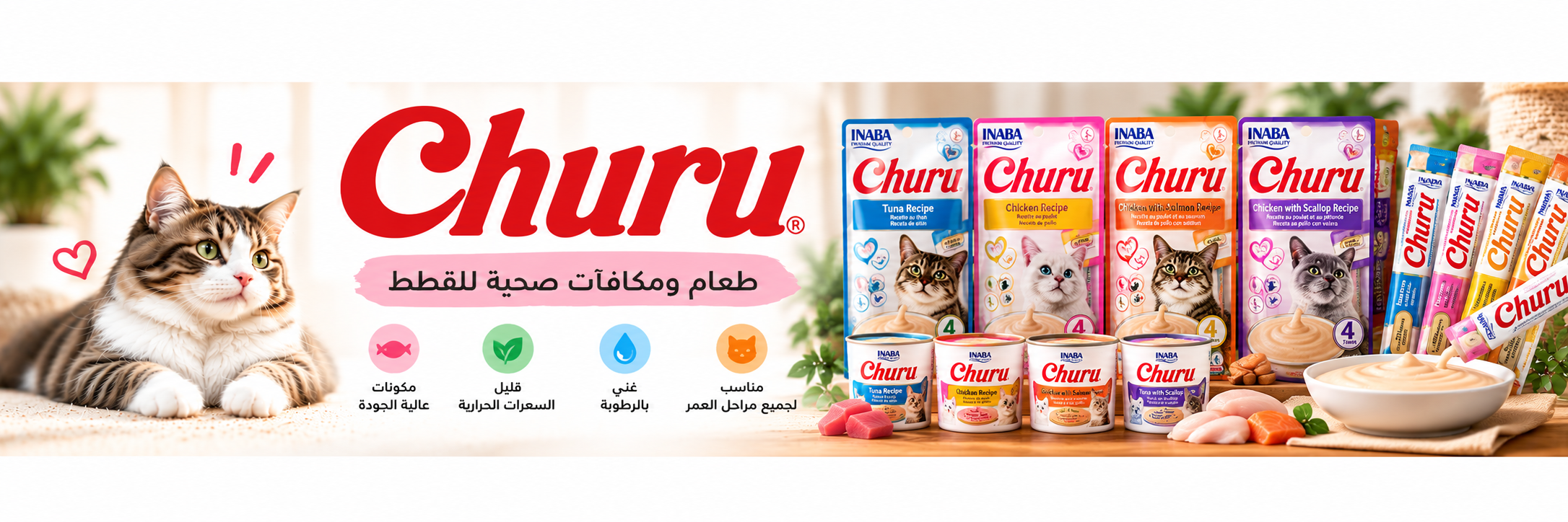 Churu