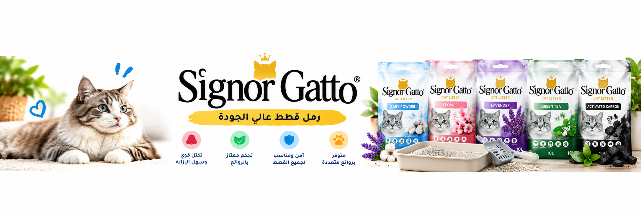 Signor Gatto