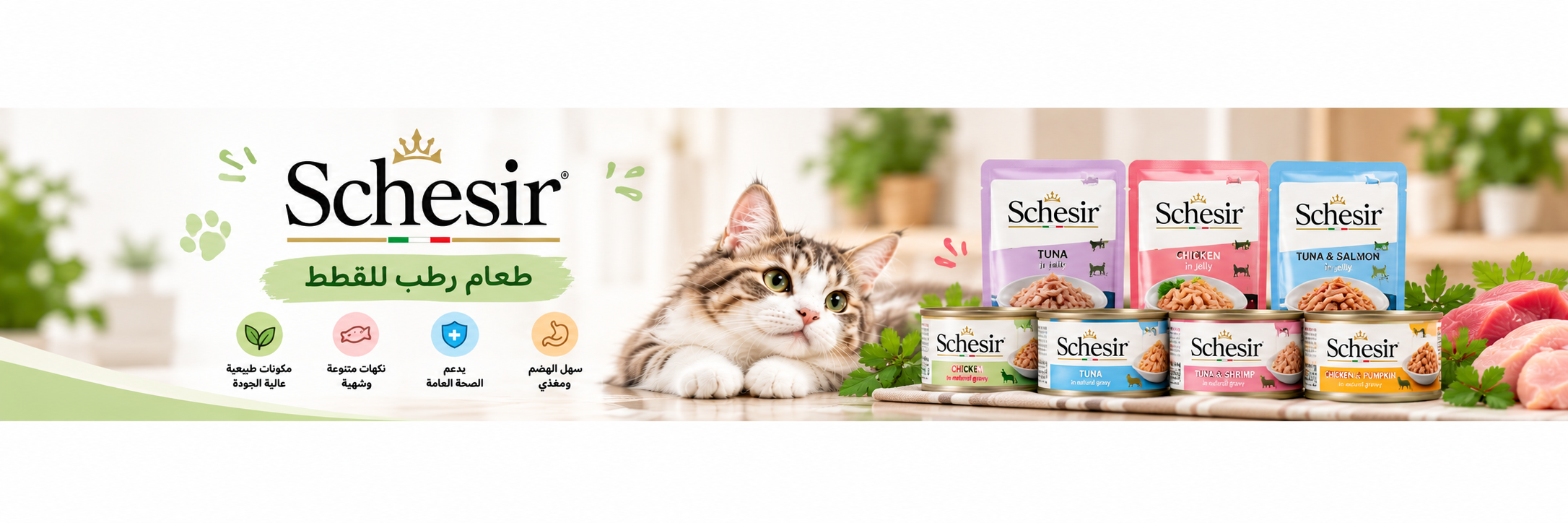 schesir cat food