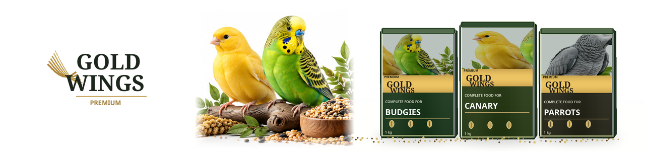Gold Wings Premium