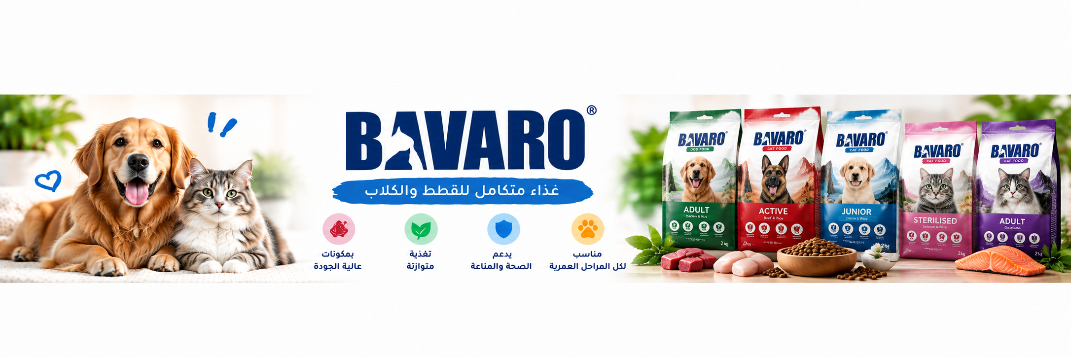 Bavaro Force