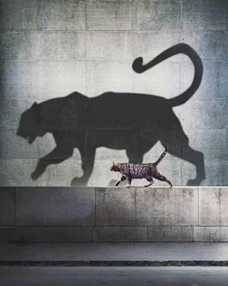 لماذا يضخّم بعض الأشخاص أنفسهم؟