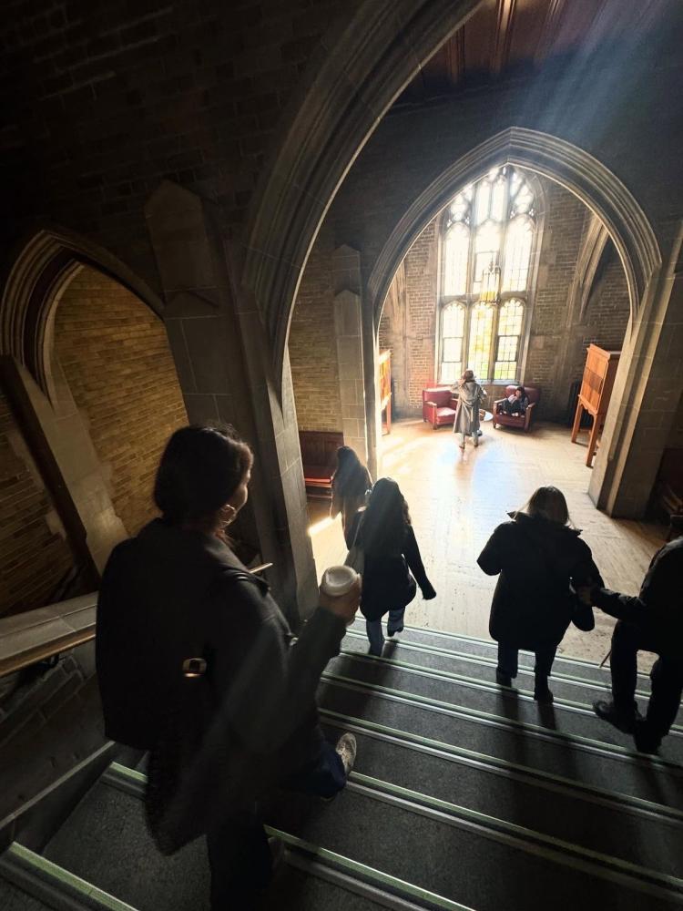 قانون يانته