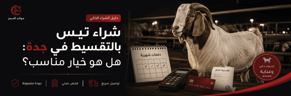 شراء ذبيحة بالتقسيط في جدة: هل هو خيار مناسب؟