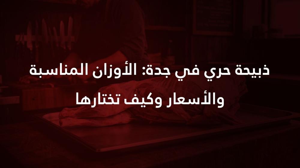 ذبيحة حري في جدة: الأوزان المناسبة والأسعار وكيف تختارها