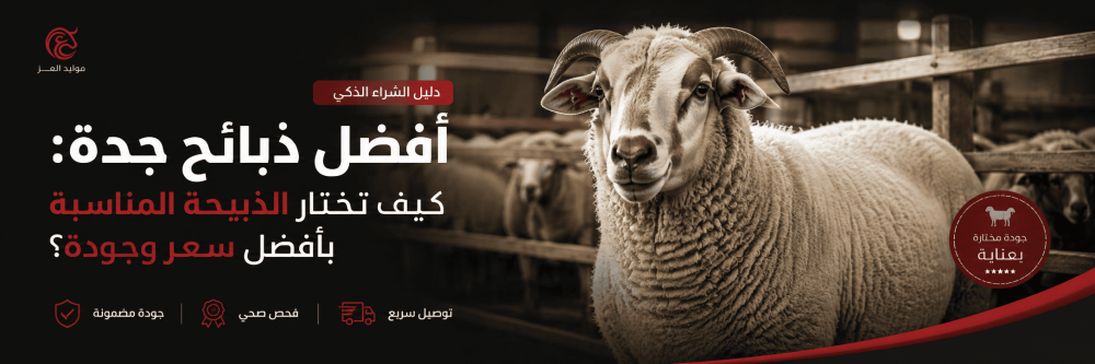 أفضل ذبائح في جدة: كيف تختار الذبيحة المناسبة بأفضل سعر وجودة؟