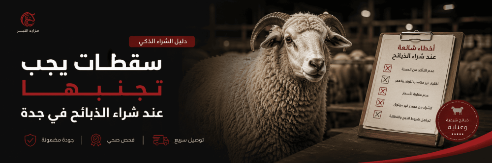 أخطاء يجب تجنبها عند شراء الذبائح في جدة