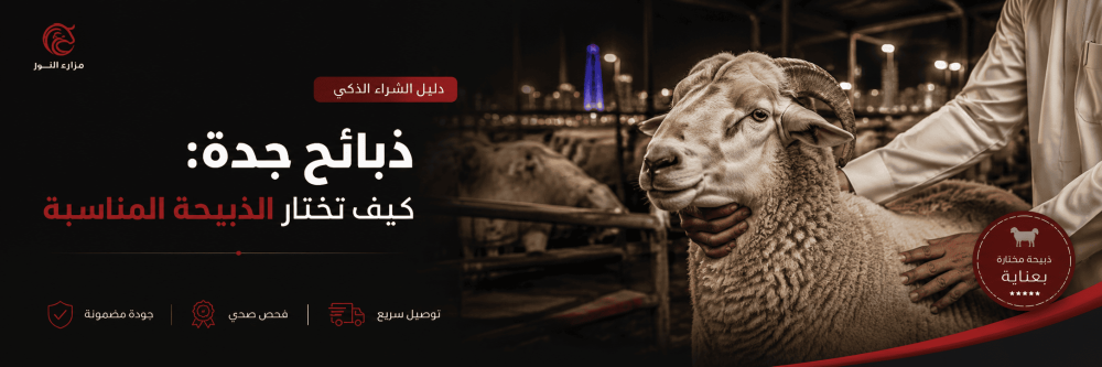 ذبائح جدة: كيف تختار الذبيحة المناسبة