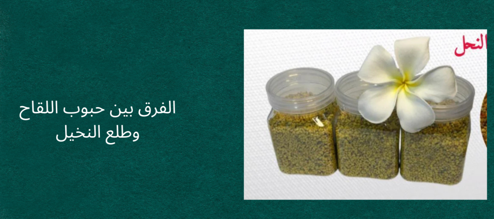 الفرق بين حبوب اللقاح وطلع النخيل