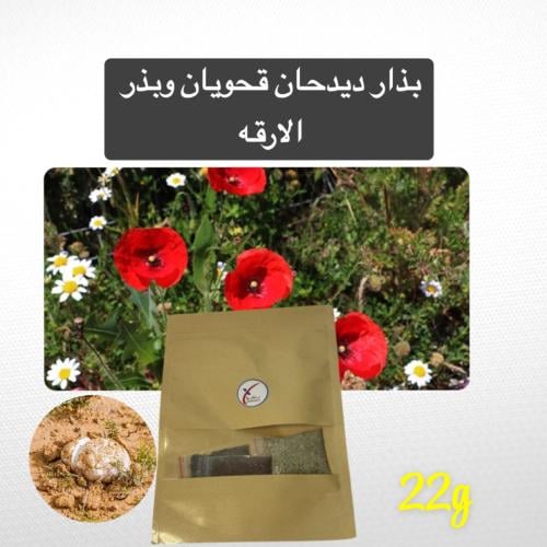 باذر الربيع والفقع 22g