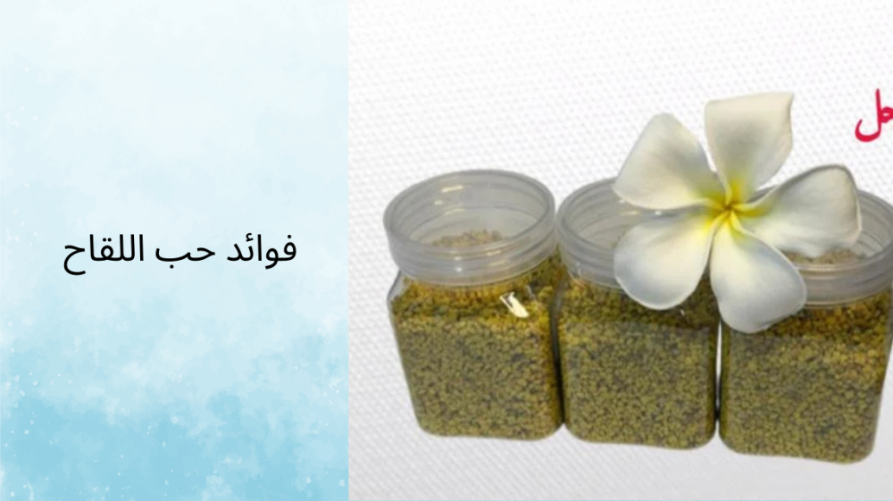 فوائد حب اللقاح