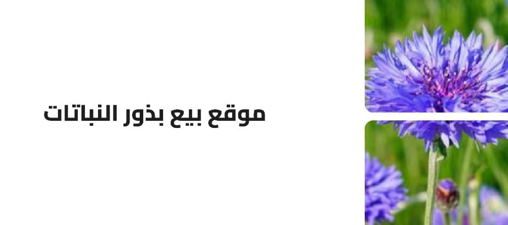 موقع بيع بذور النباتات