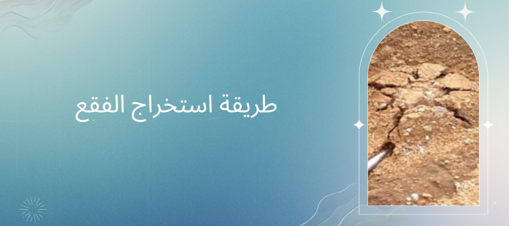 طريقة استخراج الفقع