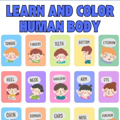 تعليم الأطفال اجزاء الجسم والحروف بالانجليزية