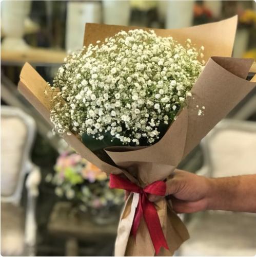 باقة الجيبسوفيلا - Gypsophilia bouquet