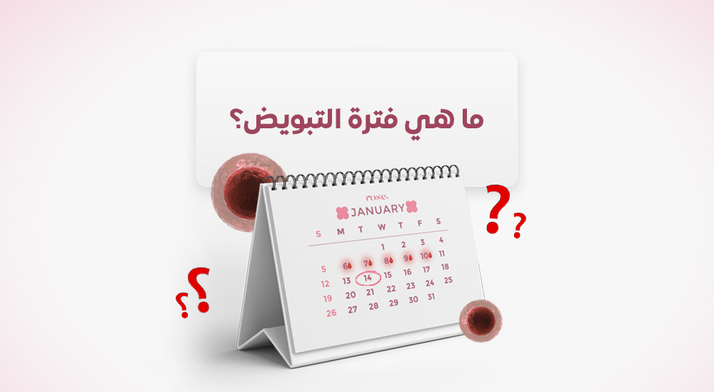 ما هي فترة التبويض؟