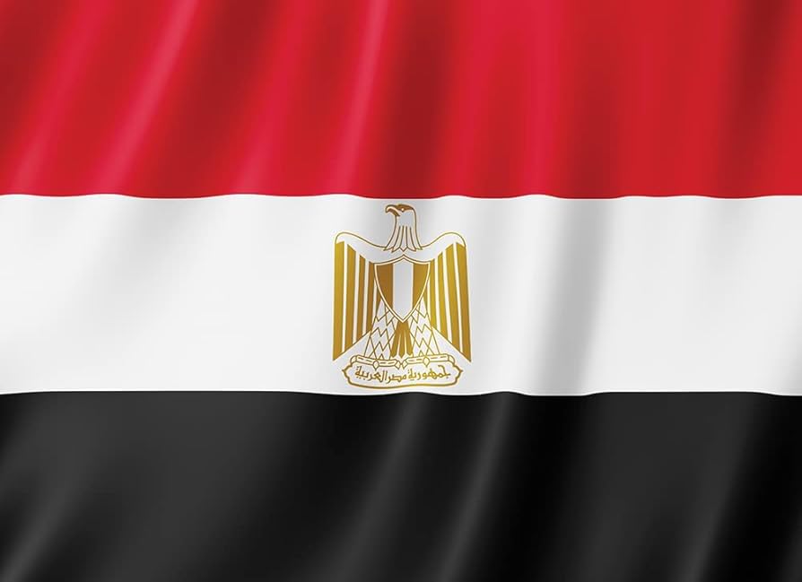 صناعة مصرية