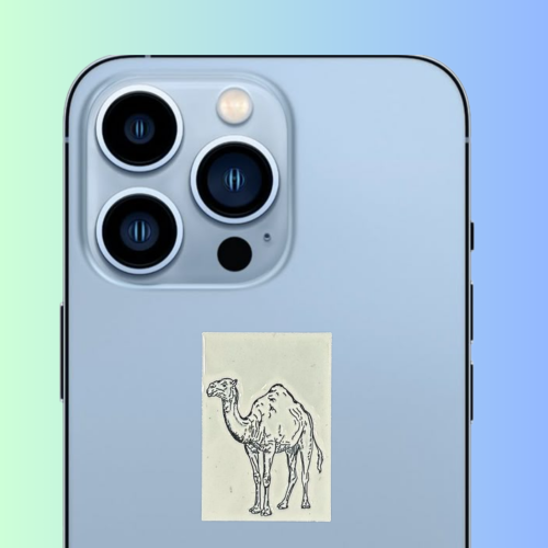 استكر معدني جمل