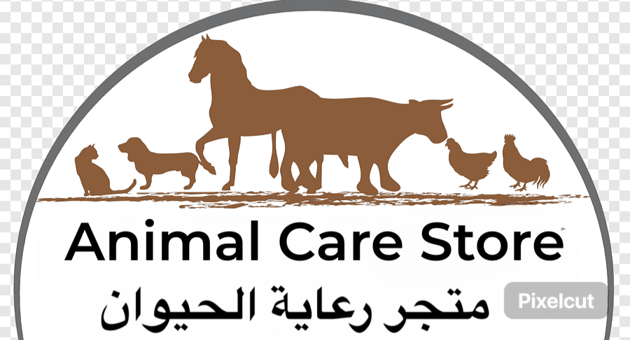 store avatar