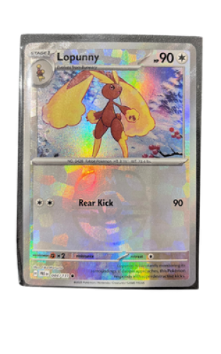 Lopunny Master Ball 84