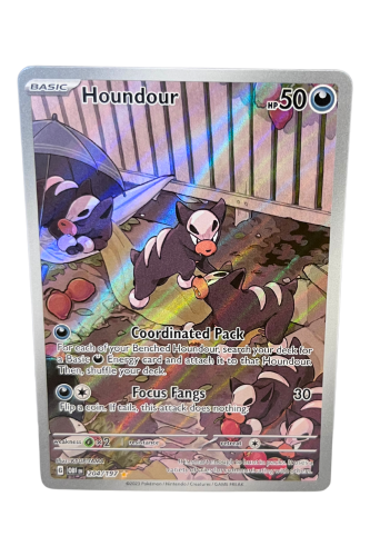 Houndour 204