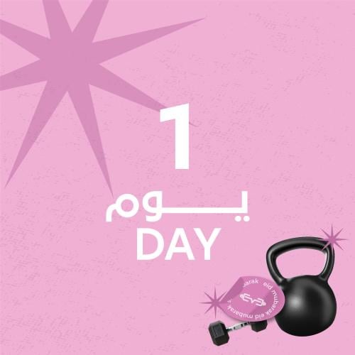 اشتراك يوم واحد