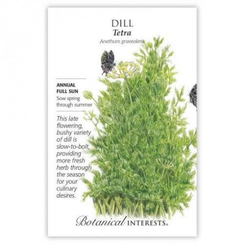 بذور شبنت تيترا - Tetra Dill Seeds