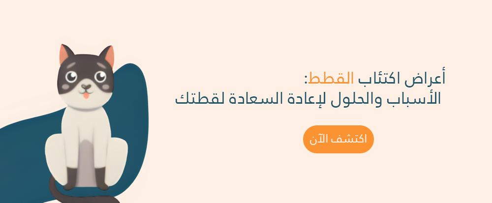 اعراض اكتئاب القطط: الأسباب والحلول لإعادة السعادة لقطتك