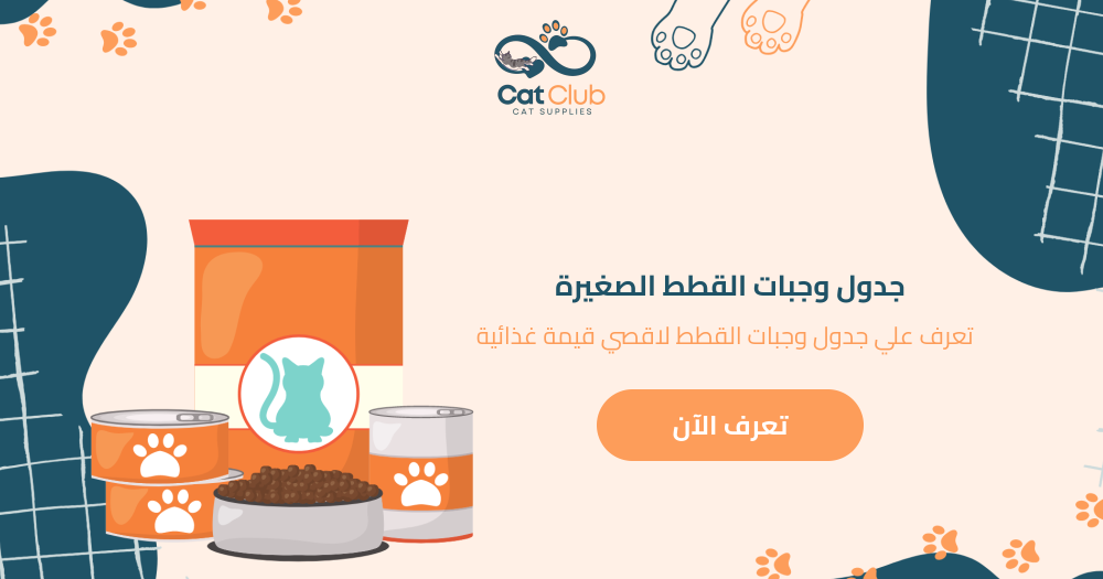 جدول وجبات القطط الصغيرة -  تعرف على جدول وجبات القطط لأقصى قيمة غذائية