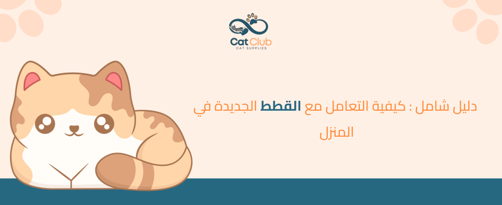 دليل شامل: كيفية التعامل مع القطط الجديدة في المنزل