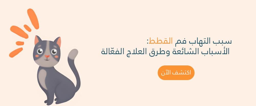 سبب التهاب فم القطط