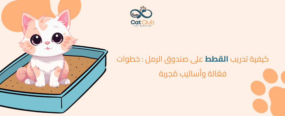 كيفية تدريب القطط على صندوق الرمل: خطوات فعّالة وأساليب مُجربة كيفية تدريب القطط على صندوق الرمل: خطوات فعّالة وأساليب مُجربة